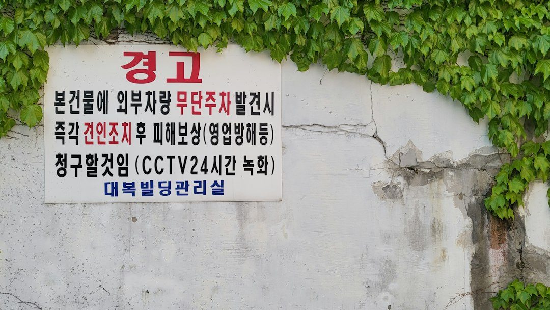 AI추천 참고 이미지 2